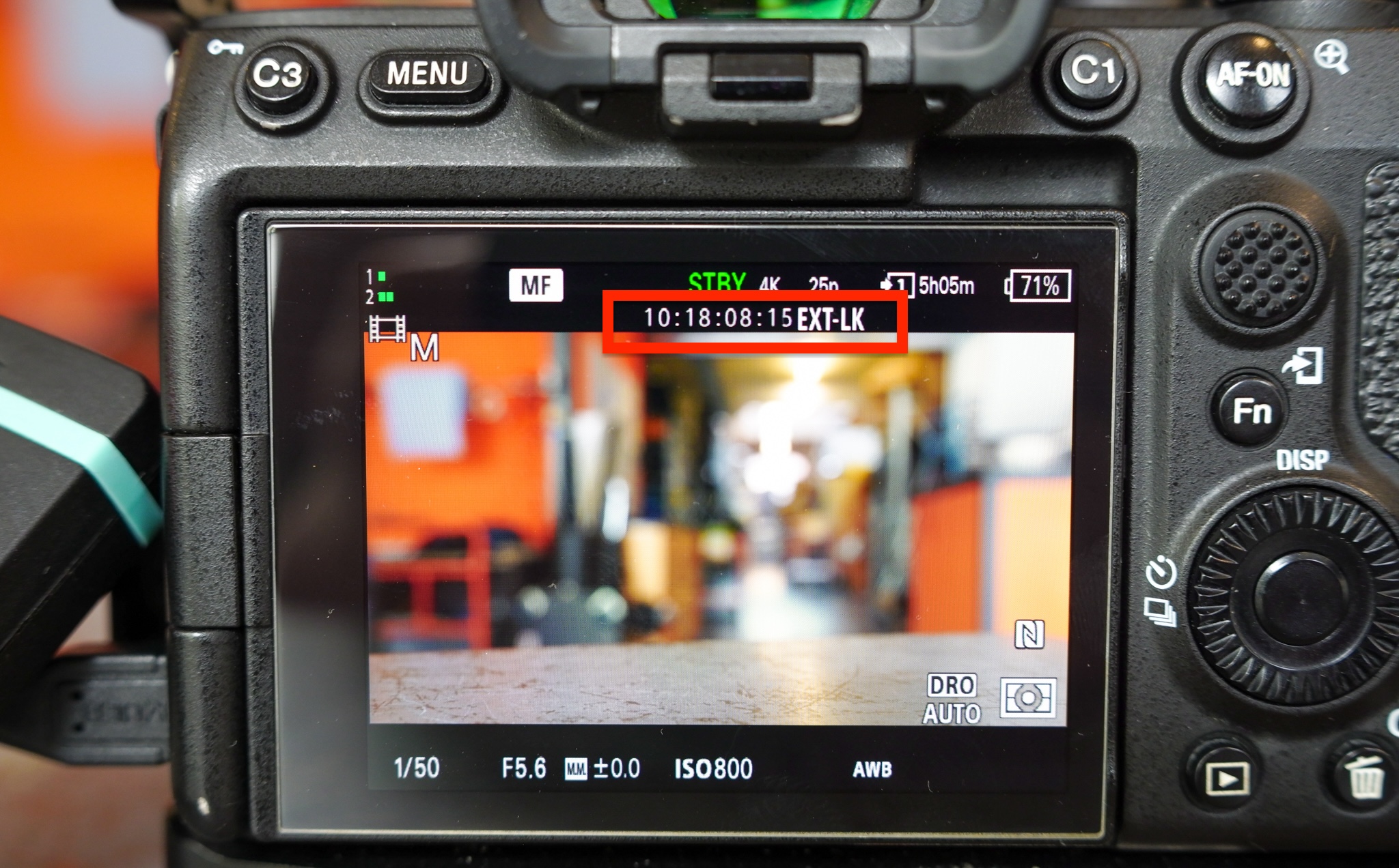 SDIM0081.jpg